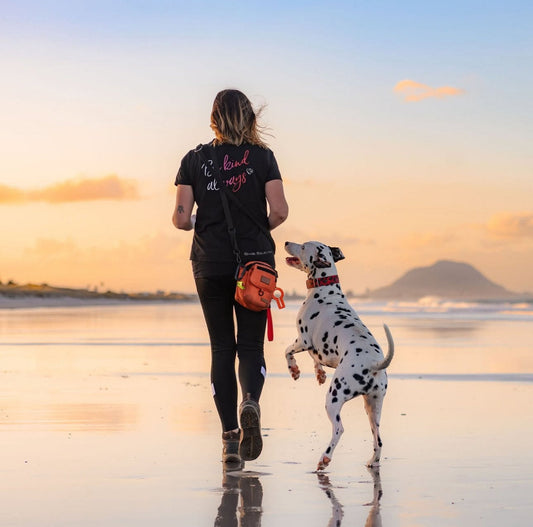 Why “Adopt Don’t Shop” Doesn’t Sit Right With Me - Mieka