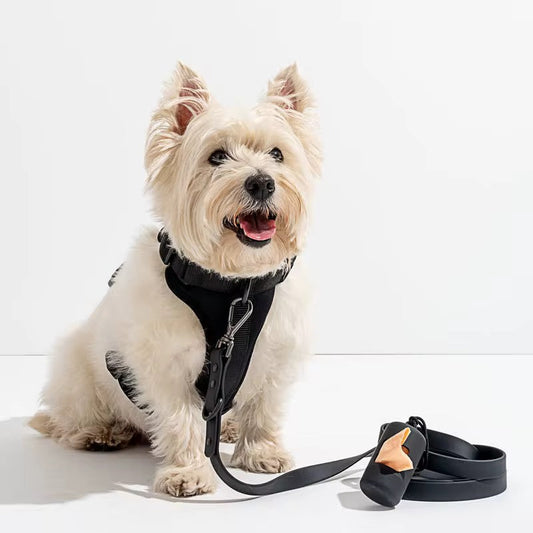 The Benefits of Dog Training in New Zealand: Why It’s Worth the Investment
