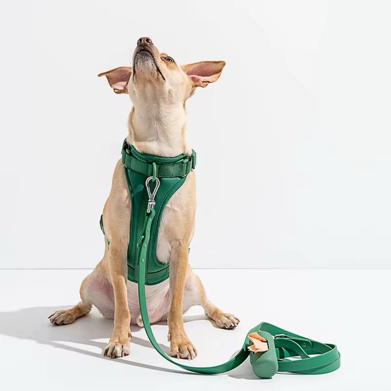 Charm Dog Lead