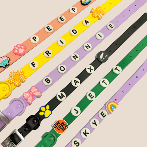 Colorful pet collars with personalized names and designs on a beige background