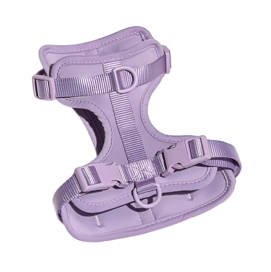 Dog Harnesses