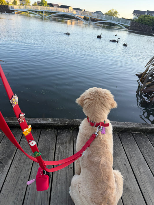 Customisable Dog Lead | Red