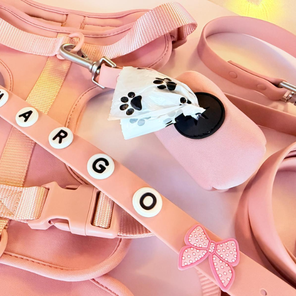 Discover the ultimate no-pull dog harness in New Zealand. Walkieez harness offers comfort, adjustability and a front D-ring for easy & effective training.
