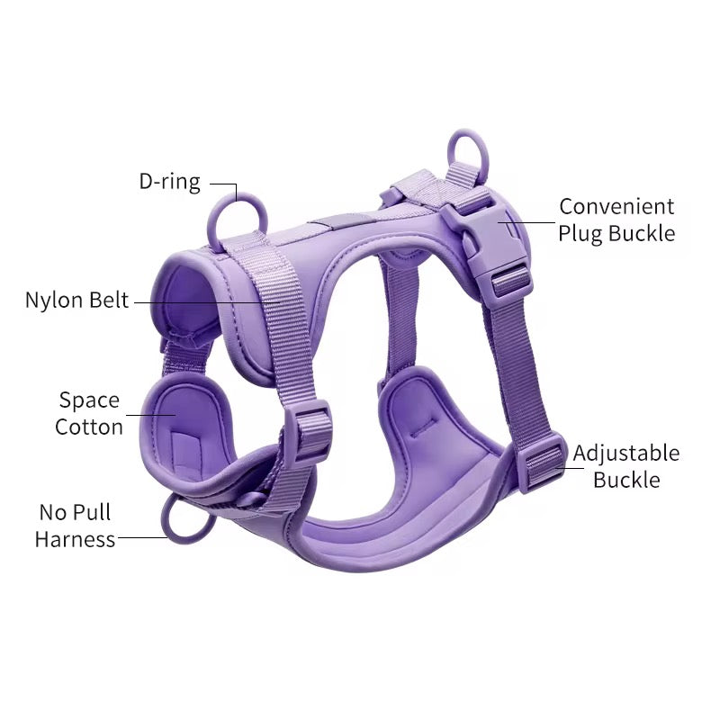 Discover the ultimate no-pull dog harness in New Zealand. Walkieez harness offers comfort, adjustability and a front D-ring for easy & effective training.
