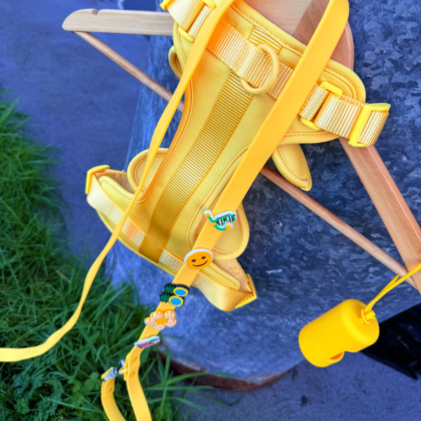 Discover the ultimate no-pull dog harness in New Zealand. Walkieez harness offers comfort, adjustability and a front D-ring for easy & effective training.