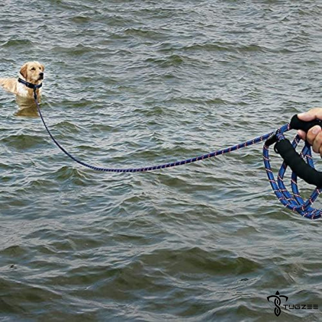TUGZEE Long Dog Leash for Dog Training Reflective with Comfortable Padded Handle Heavy Duty Dog Lead for Large Medium Small Dogs