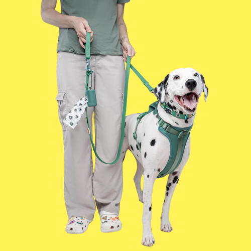 Dog Lead | Green