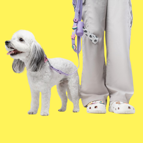 Dog Lead | Lilac