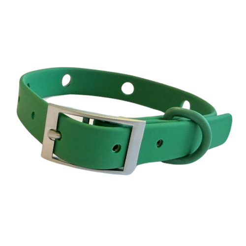 Dog Collar | Green