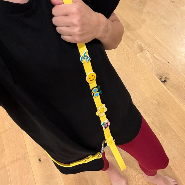 Dog Walking Bundle | Yellow