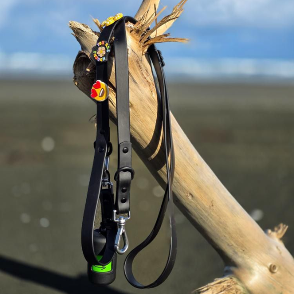 Dog Walking Bundle | Black