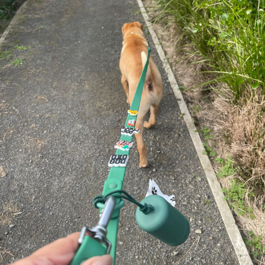 Customisable Dog Lead | Green