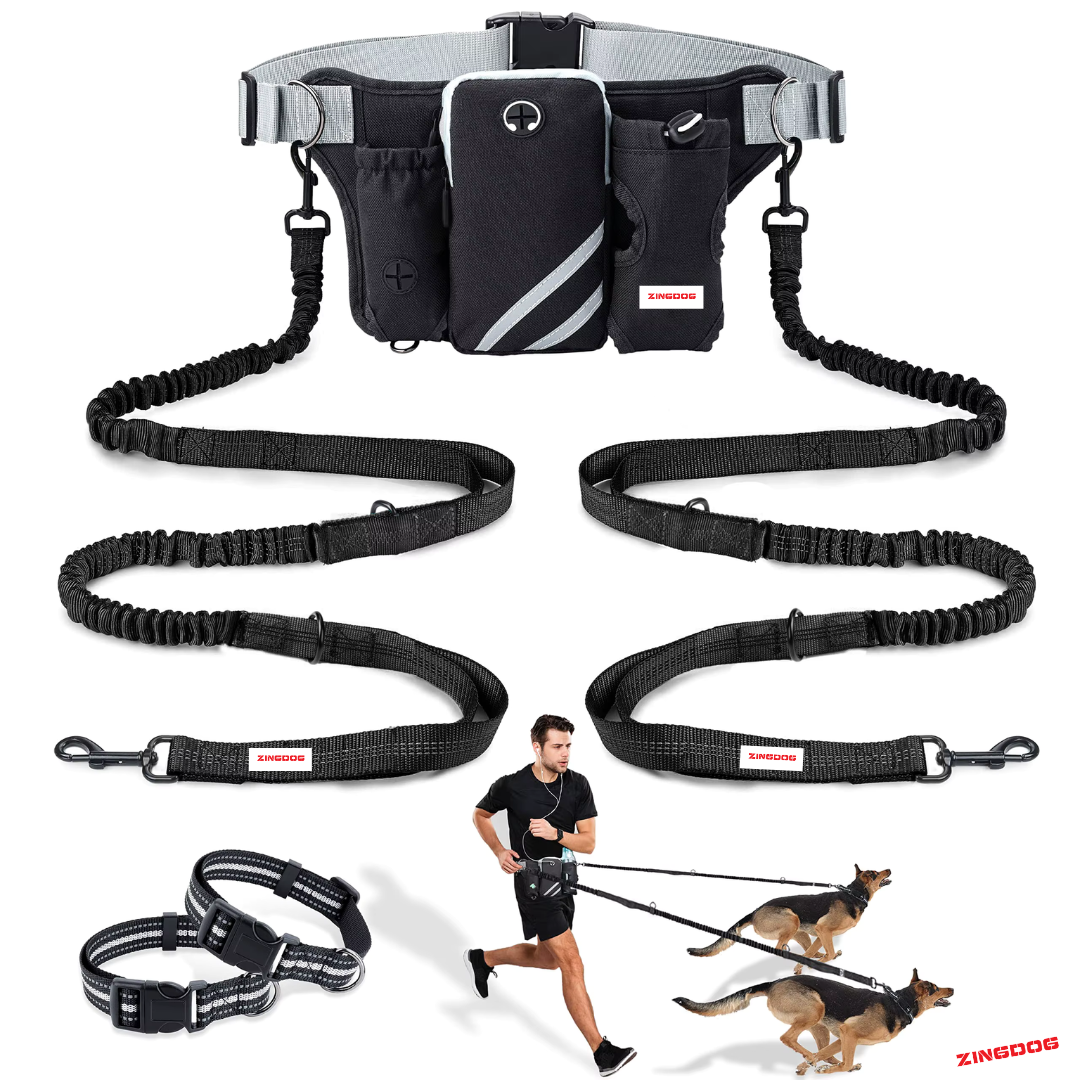 ZINGDOG Hands-Free Dog Lead Single/Dual with Waist Pouch – Walkieez