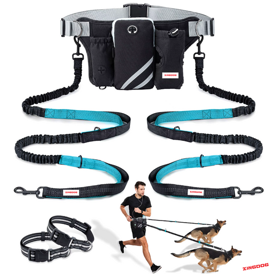 ZINGDOG Hands-Free Dual Dog Leash with Waist Pouch for Running, Walking & Hiking