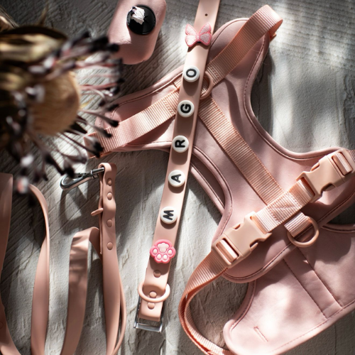 Plain Dog Lead | Blush Pink