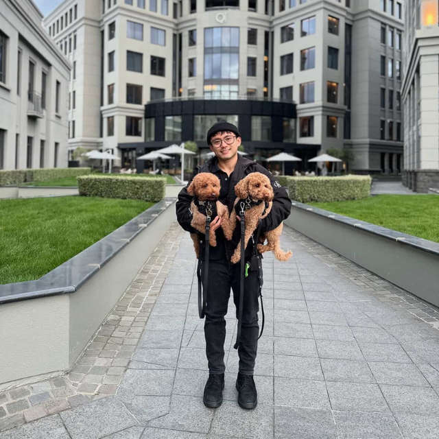 Dog-Friendly Hotels in New Zealand: Because Adventures Are Better with Your Best Friend!