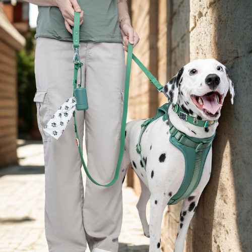 Dog Harnesses vs. Dog Collars?
