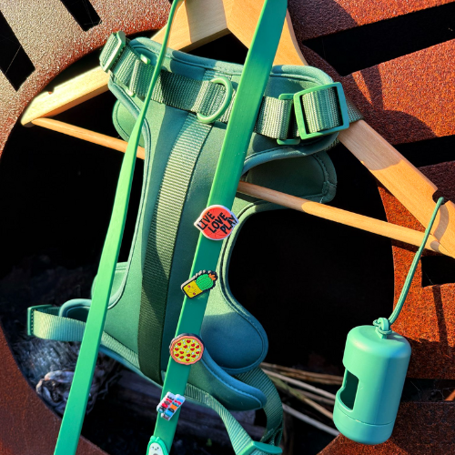 No-Pull Dog Harnesses