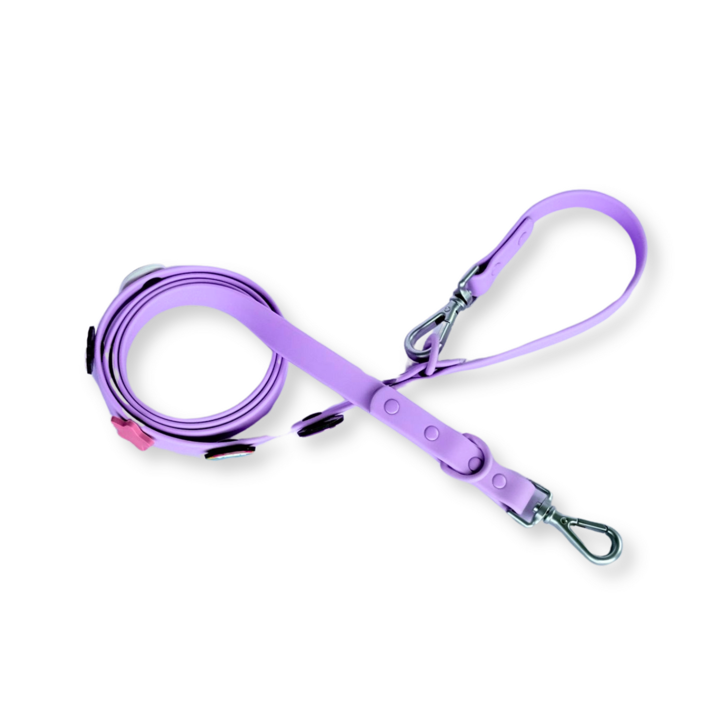 Charm Dog Lead