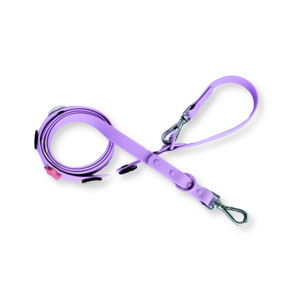 Charm Dog Lead