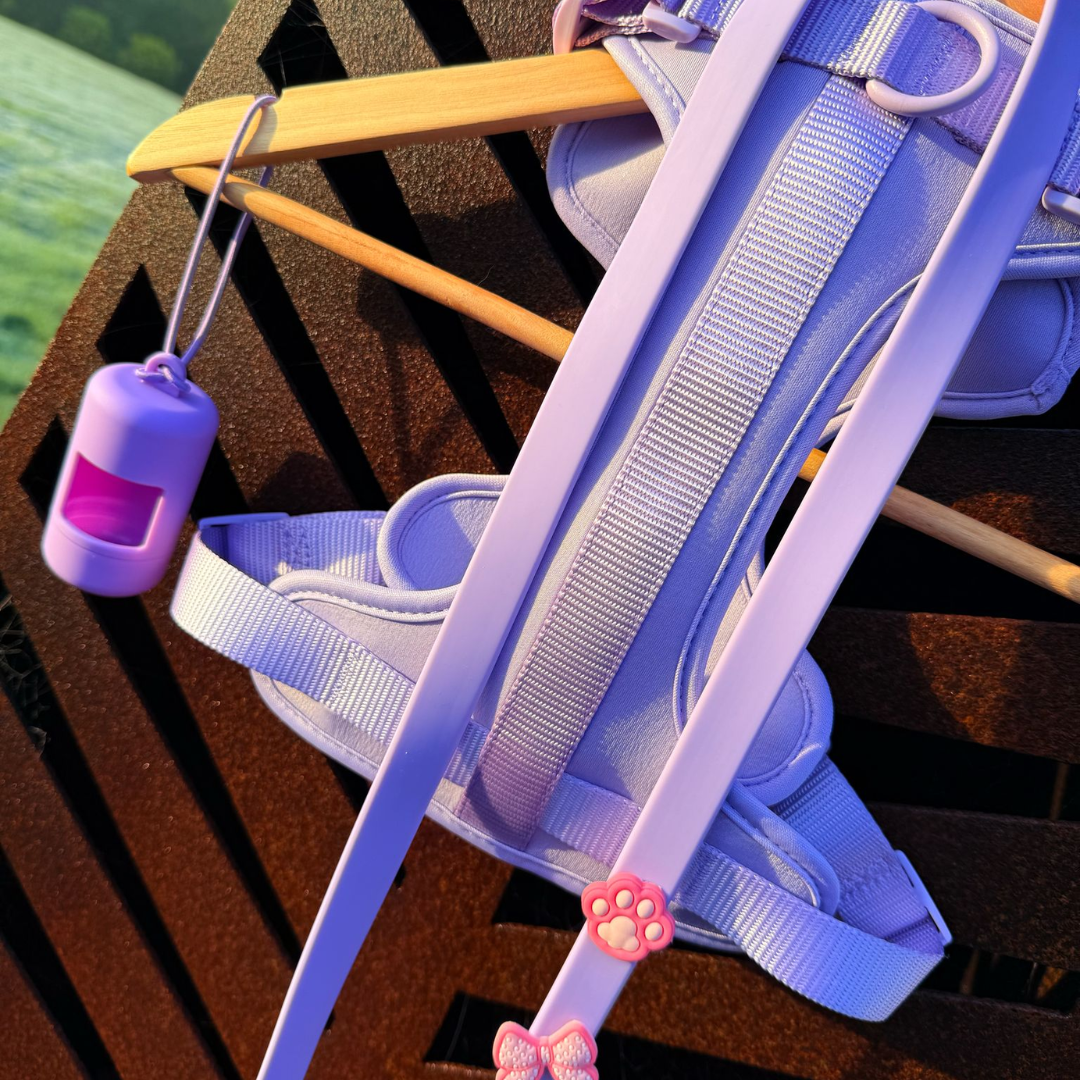 Dog Walking Bundle | Lilac