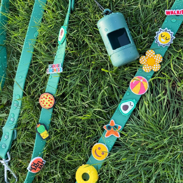 Green dog collar and lead with colorful charms on a grassy background