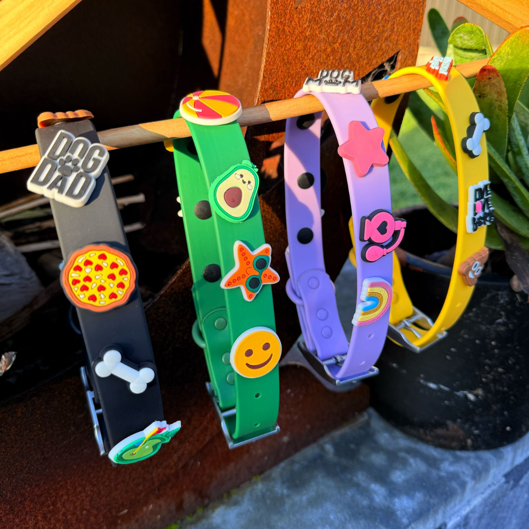 Dog Collar | Green
