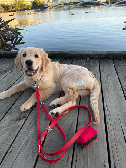 Customisable Dog Lead | Red