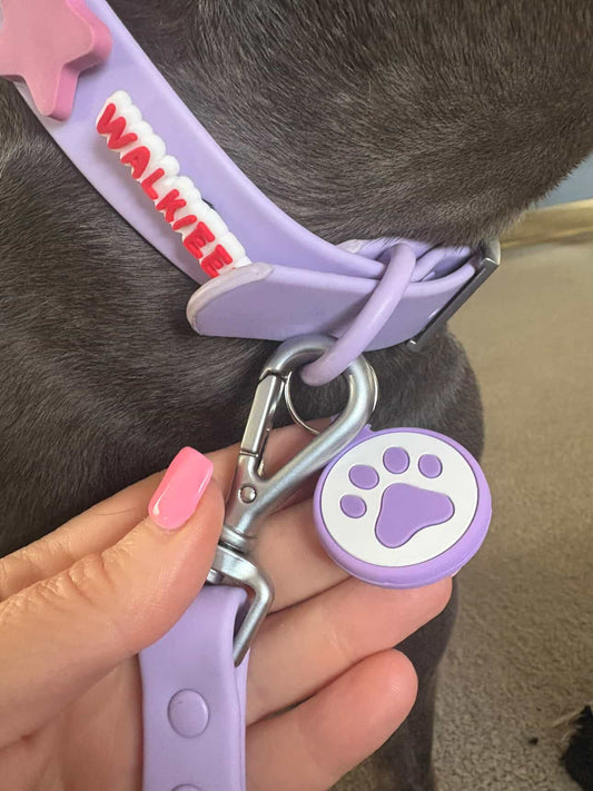 Dog Tag | PINK