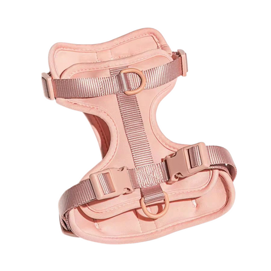 Discover the ultimate no-pull dog harness in New Zealand. Walkieez harness offers comfort, adjustability and a front D-ring for easy & effective training.