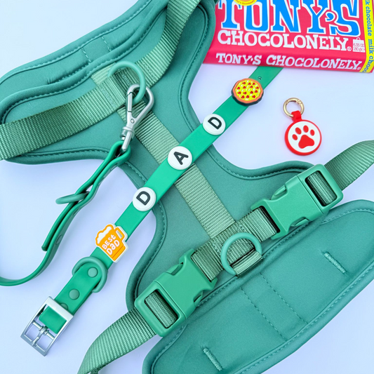 Discover the ultimate no-pull dog harness in New Zealand. Walkieez harness offers comfort, adjustability and a front D-ring for easy & effective training.