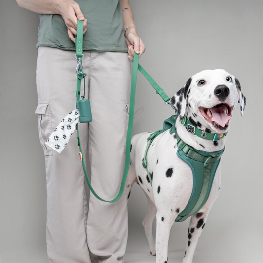 Discover the ultimate no-pull dog harness in New Zealand. Walkieez harness offers comfort, adjustability and a front D-ring for easy & effective training.