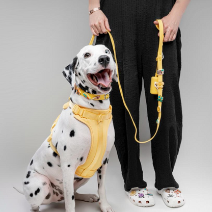 Discover the ultimate no-pull dog harness in New Zealand. Walkieez harness offers comfort, adjustability and a front D-ring for easy & effective training.