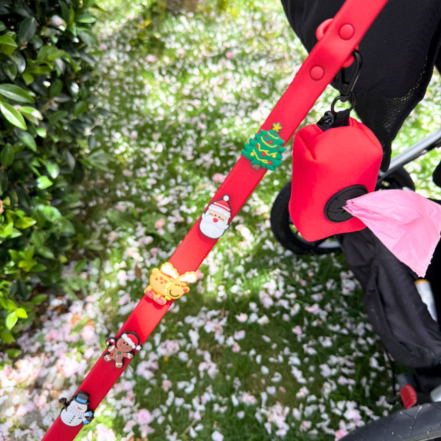 Customisable Dog Lead | Red