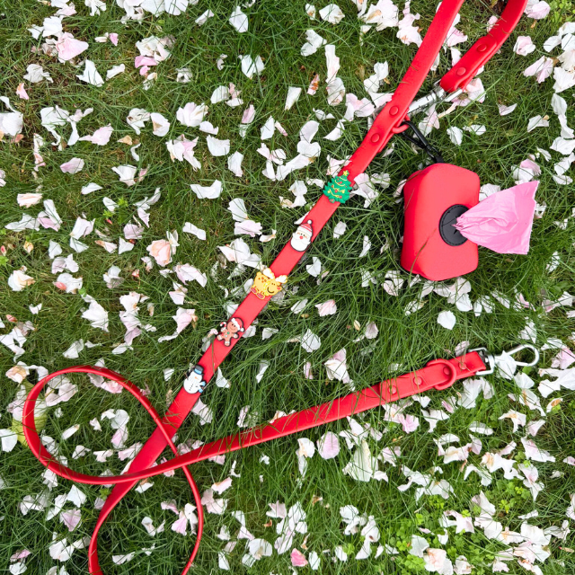 Customisable Dog Lead | Red