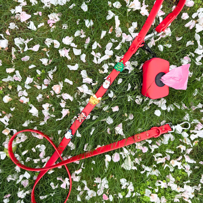 Customisable Dog Lead | Red