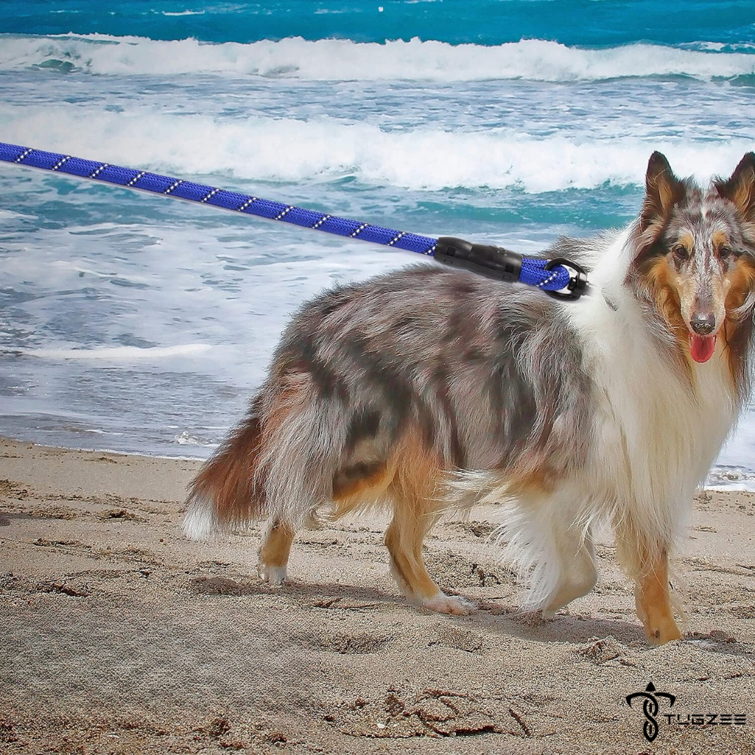 TUGZEE Dog Leash with Comfortable Padded Handle Reflective - Strong & Durable for Small, Medium and Large Dogs