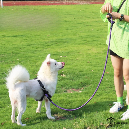 TUGZEE Dog Leash with Comfortable Padded Handle Reflective - Strong & Durable for Small, Medium and Large Dogs