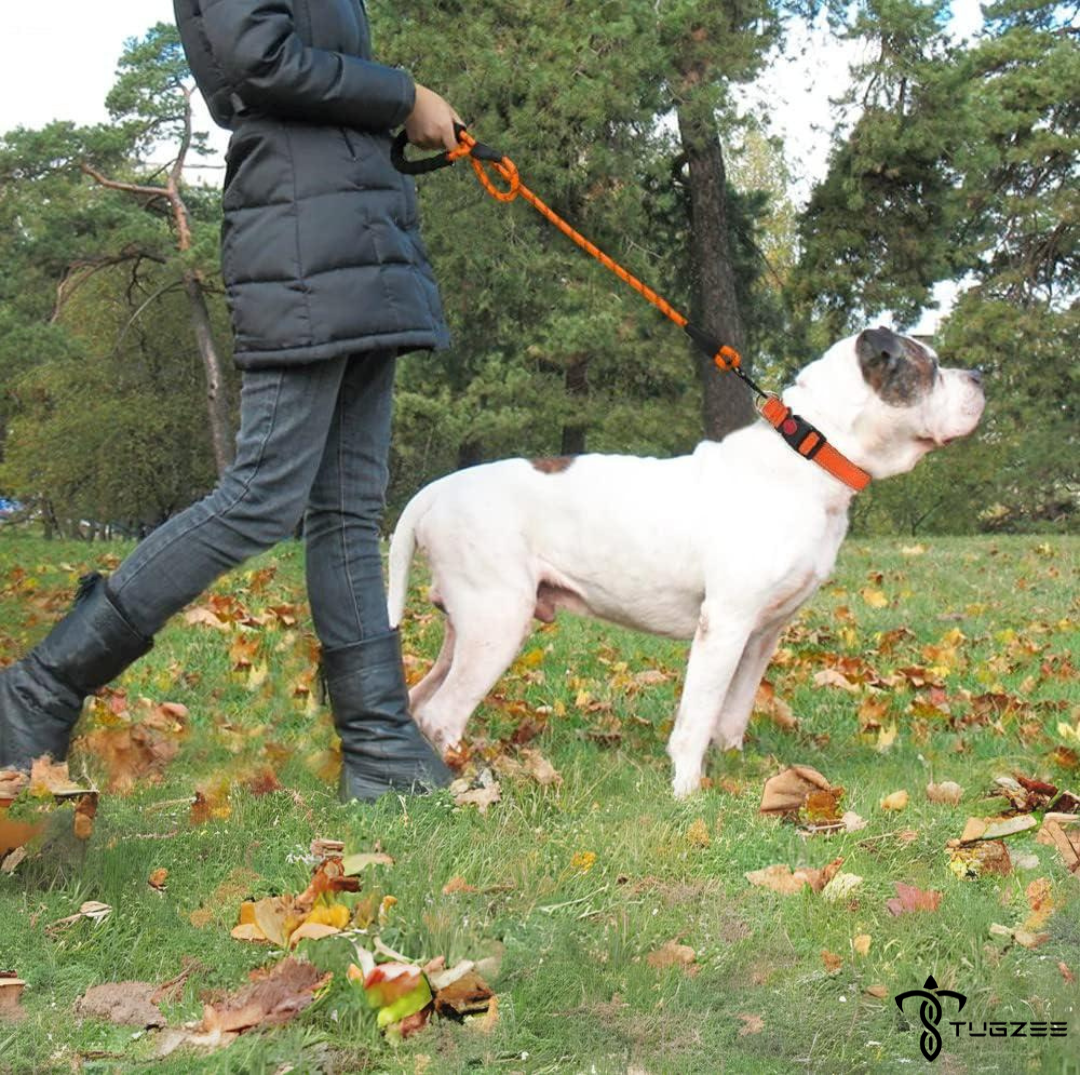 TUGZEE Dog Leash with Comfortable Padded Handle Reflective - Strong & Durable for Small, Medium and Large Dogs