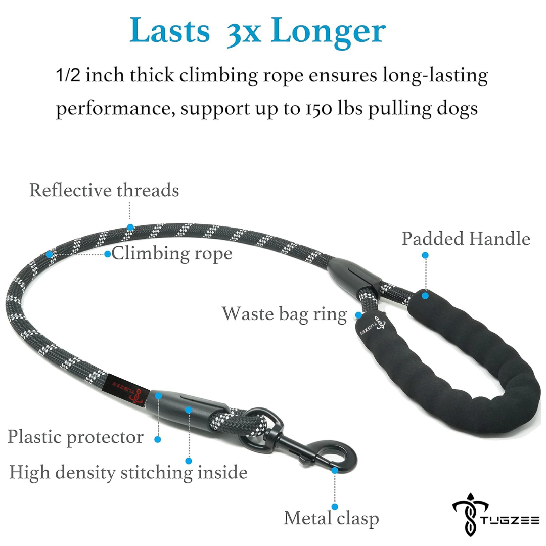 TUGZEE Dual Dog Leash with Shock Absorbing Reflective
