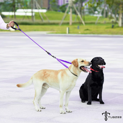 TUGZEE Dual Dog Leash with Shock Absorbing Reflective