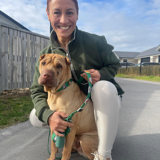 Dog Lead | Green