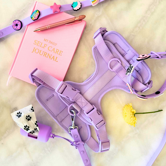 Dog Walking Bundle | Lilac