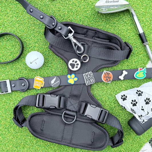Dog Walking Bundle | Black