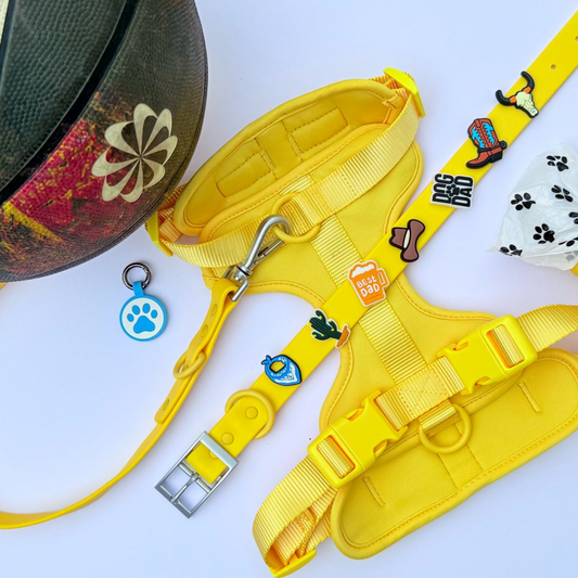 Dog Walking Bundle | Yellow