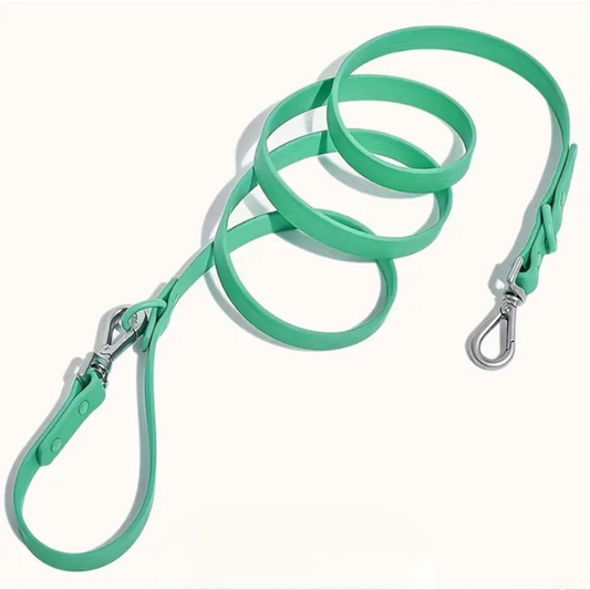 Customisable Dog Lead | Green