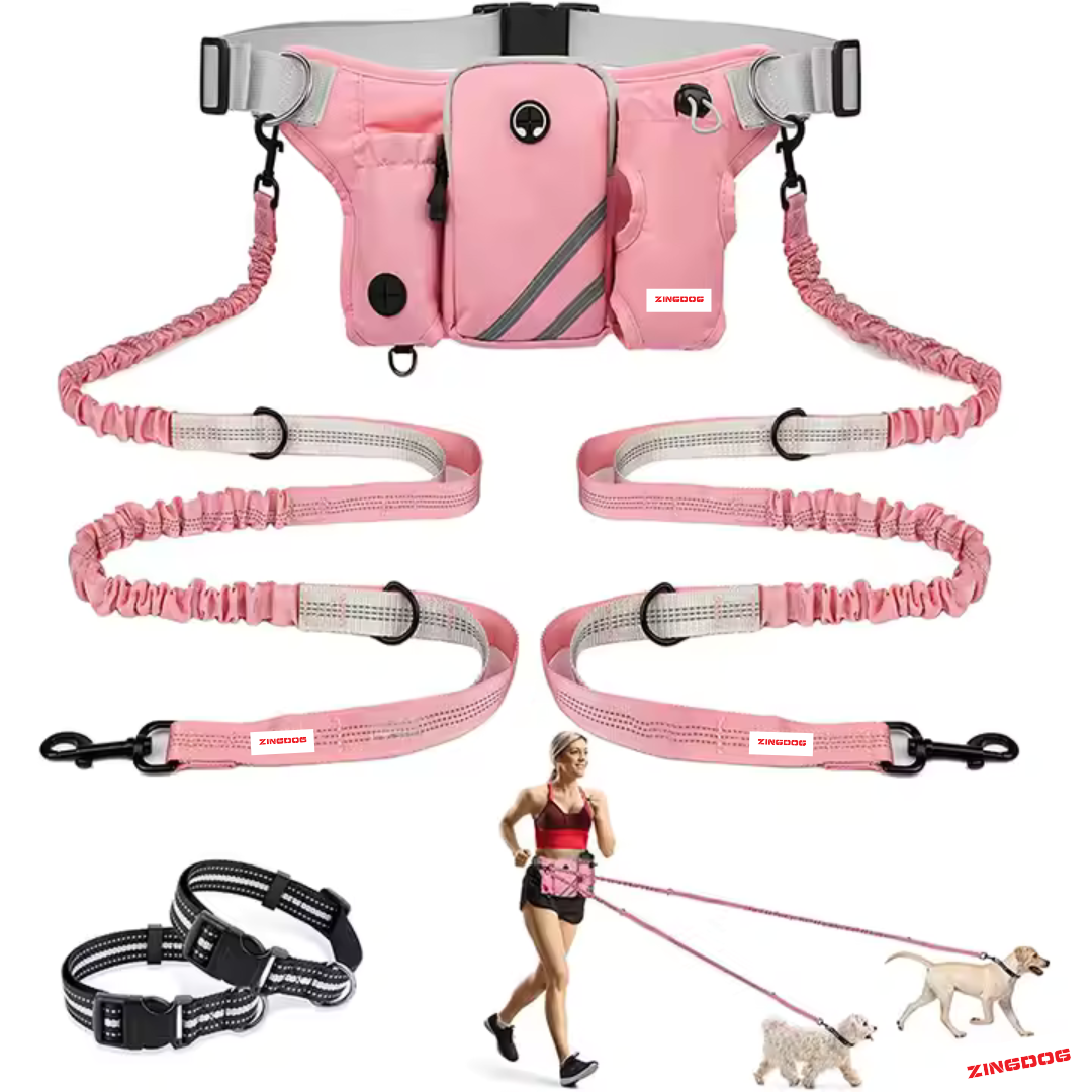 ZINGDOG Hands-Free Dual Dog Leash with Waist Pouch for Running, Walking & Hiking
