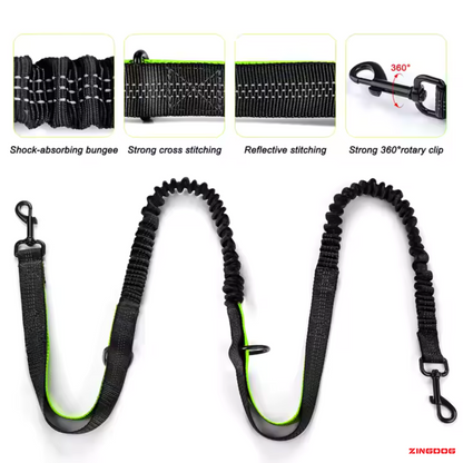 ZINGDOG Hands-Free Dual Dog Leash with Waist Pouch for Running, Walking & Hiking