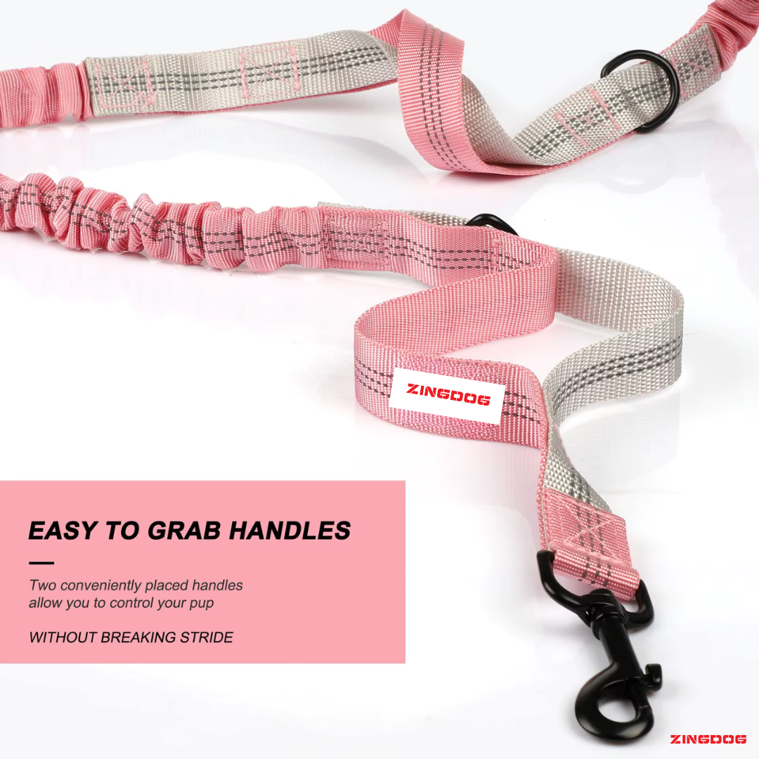 ZINGDOG Hands-Free Dual Dog Leash with Waist Pouch for Running, Walking & Hiking