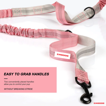 ZINGDOG Hands-Free Dual Dog Leash with Waist Pouch for Running, Walking & Hiking